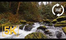 Virtual Nature Relaxation - VR 360° 5K Video - Stones of the Skagit River - WA State, USA